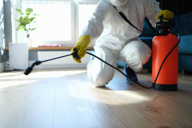 Reliable Odor Removal contractor in Jamestown, NC by Trauma Clean Pros